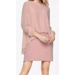 BCBGMaxAzria Deenah small blush silk chiffon dress
